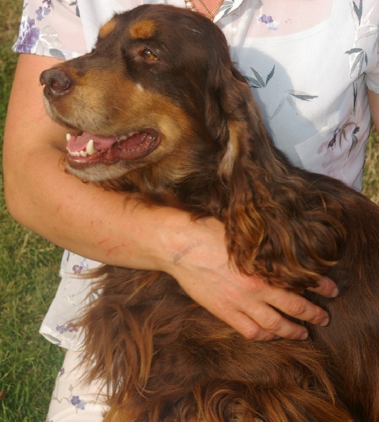 Publication : des marais de la Dombes Auteur : Les Marais de la Dombes