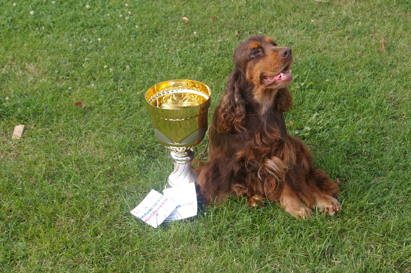 Publication : des marais de la Dombes