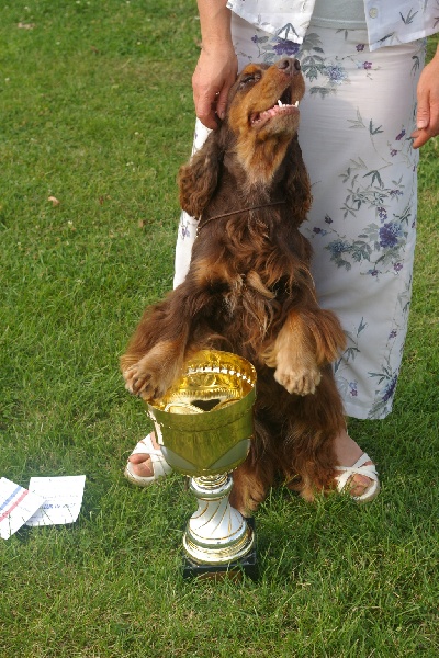 Publication : des marais de la Dombes