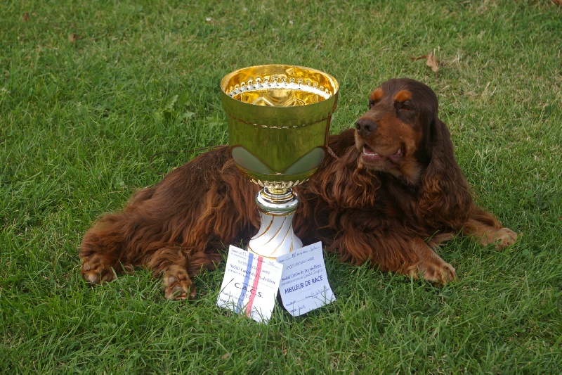 Publication : des marais de la Dombes