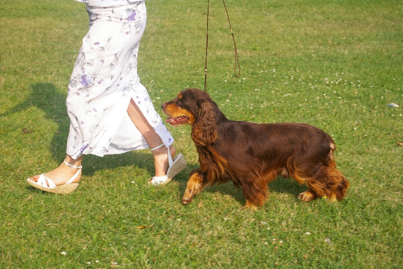 Publication : des marais de la Dombes Auteur : Les Marais de la Dombes