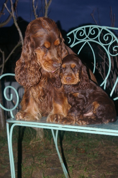 Publication : des marais de la Dombes