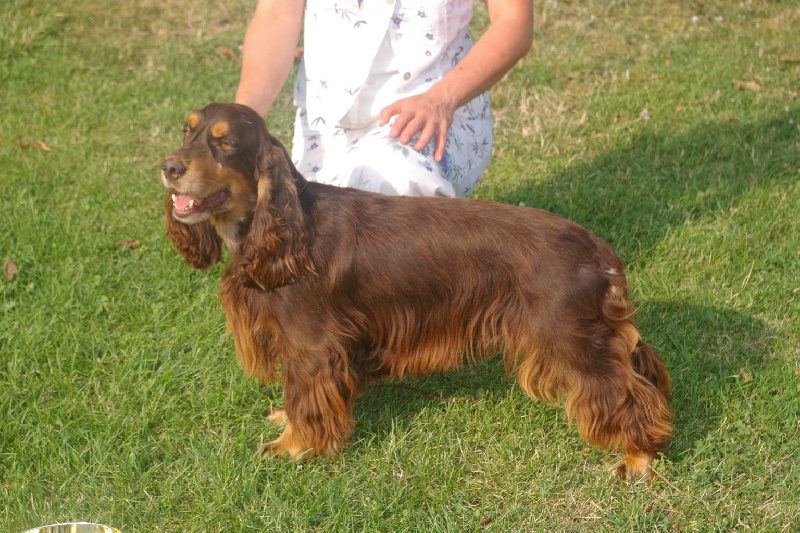 Publication : des marais de la Dombes Auteur : Les Marais de la Dombes