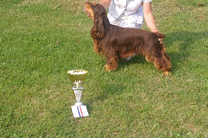 Publication : des marais de la Dombes Auteur : Les Marais de la Dombes