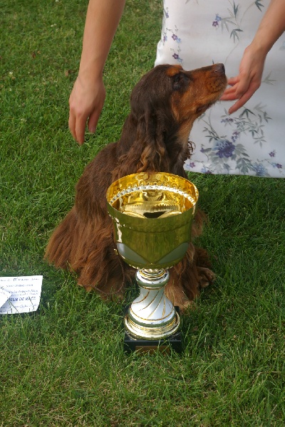 Publication : des marais de la Dombes