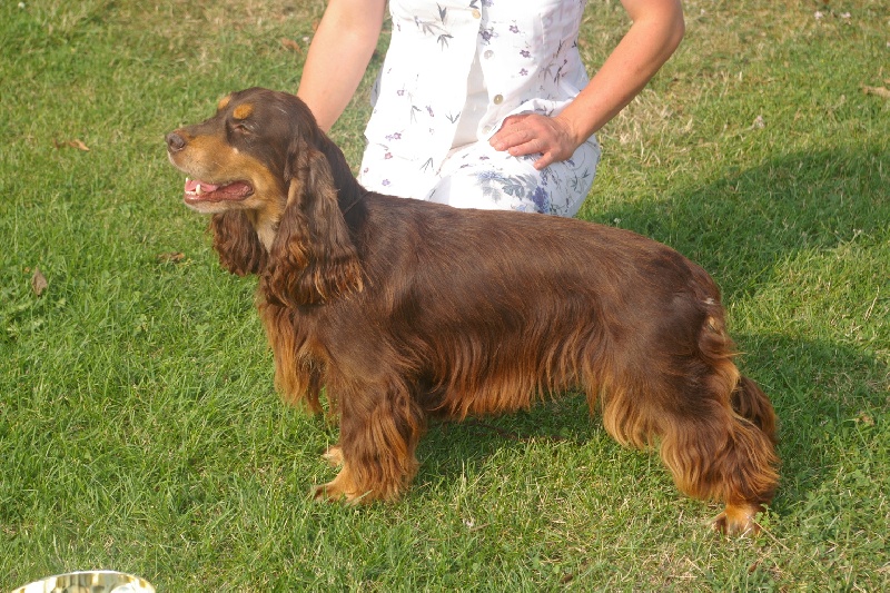 Publication : des marais de la Dombes Auteur : Les Marais de la Dombes
