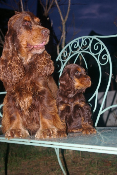 Publication : des marais de la Dombes