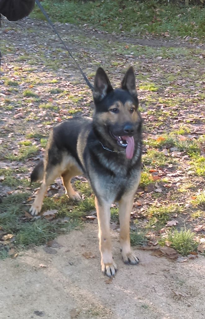 Publication : Du domaine de maryanne Auteur : PROD'HON Laurenne