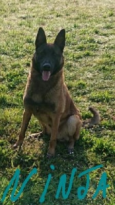 Du domaine de maryanne