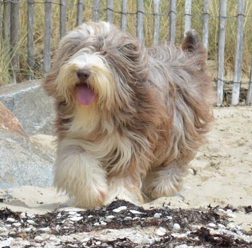 First lady chanel de la Planète de Yoda - 4ème Exc - classe ouverte