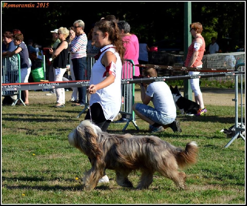 First lady chanel de la Planète de Yoda - CACS