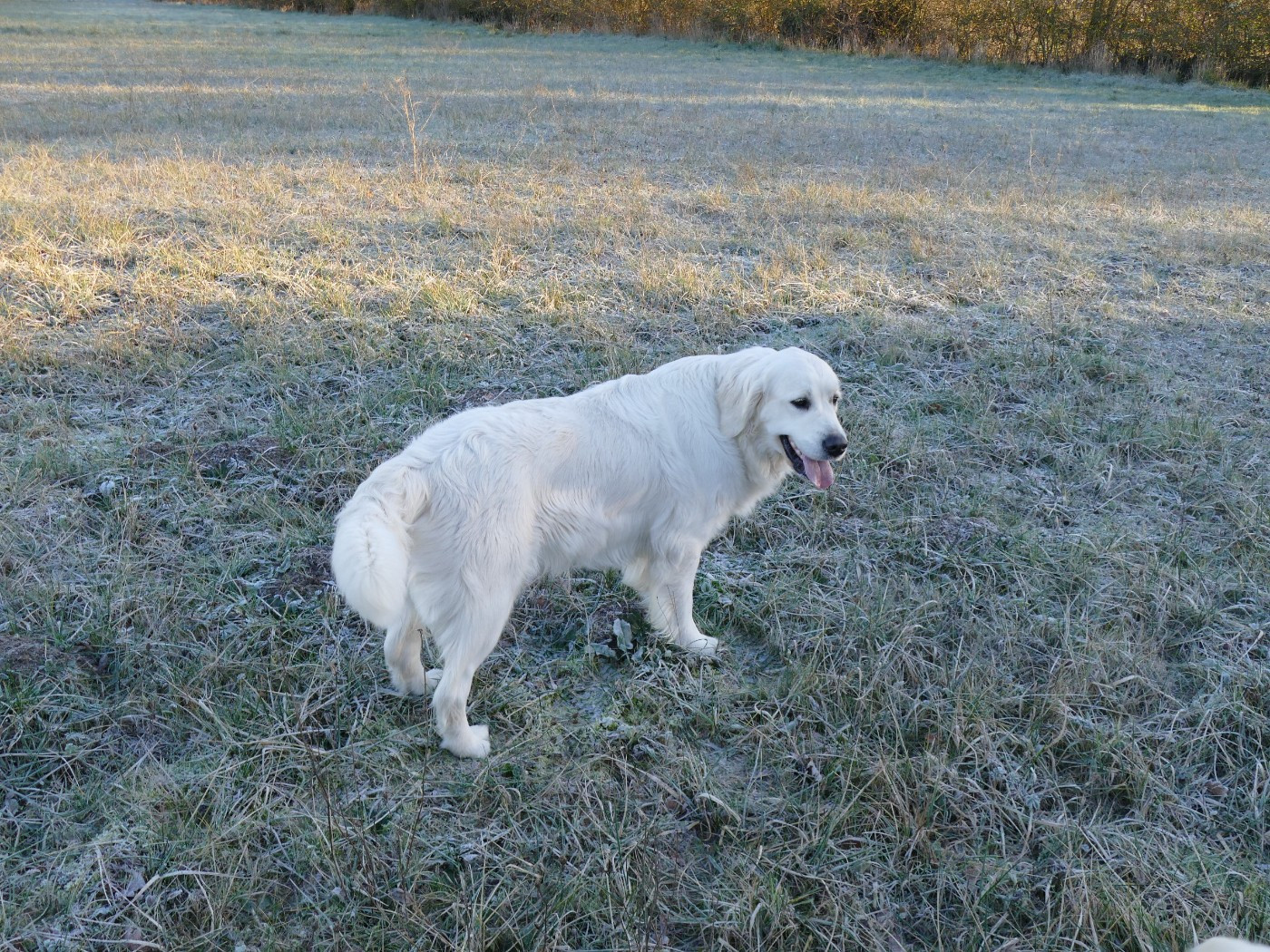 Publication : de la plaine des peupliers