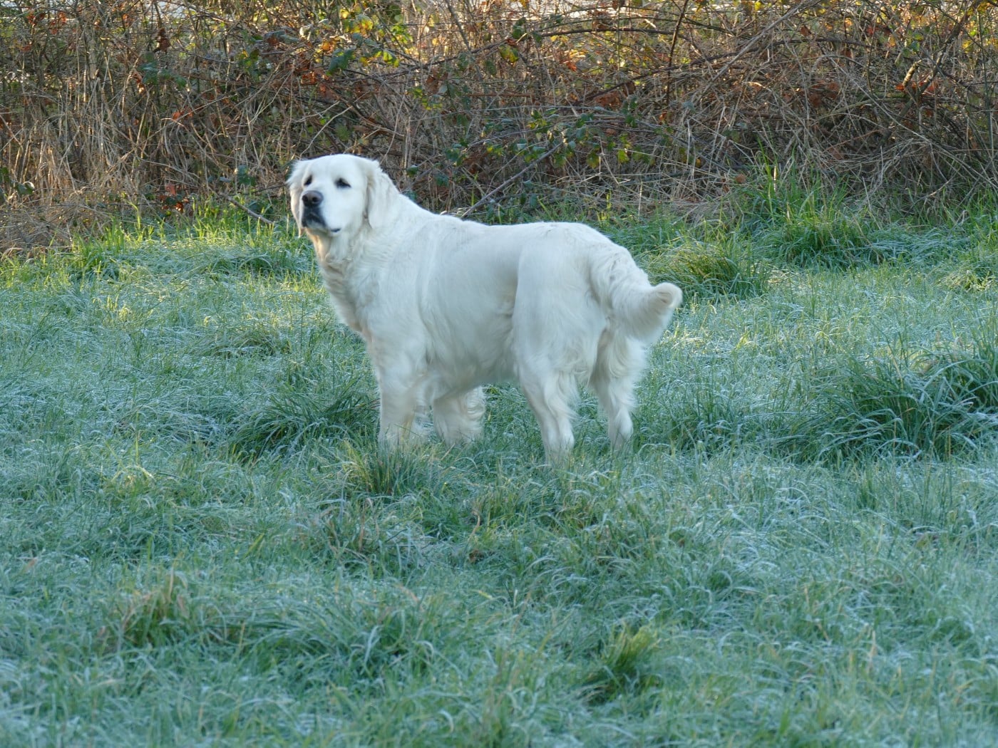 Publication : de la plaine des peupliers