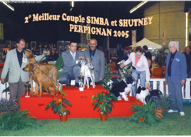 Mayaka's land Shutney - CACIB CACS 2°Couple/SIMBA