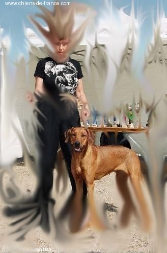 Mayaka's land Shutney - EXC