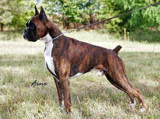 Publication : des parfums de skanbergii