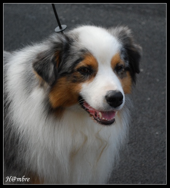 Publication : de L'Igloo des Sables