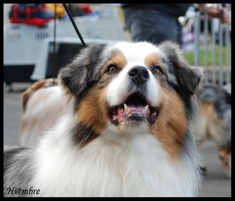 Publication : de L'Igloo des Sables