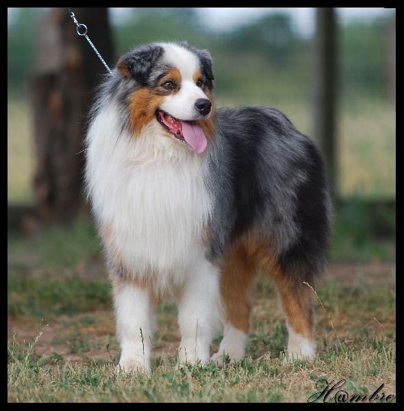 Publication : de L'Igloo des Sables