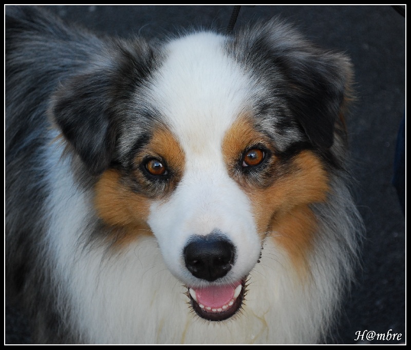 Publication : de L'Igloo des Sables