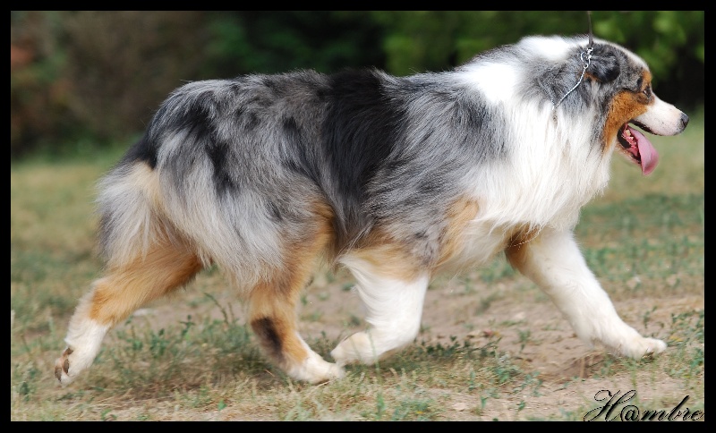 Publication : de L'Igloo des Sables