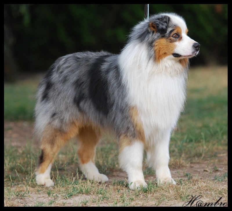 Publication : de L'Igloo des Sables