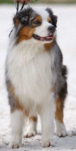 Publication : de L'Igloo des Sables