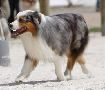 Publication : de L'Igloo des Sables