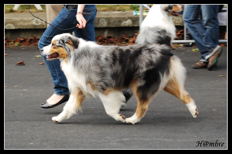 Publication : de L'Igloo des Sables