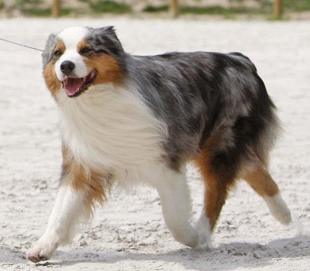 Publication : de L'Igloo des Sables