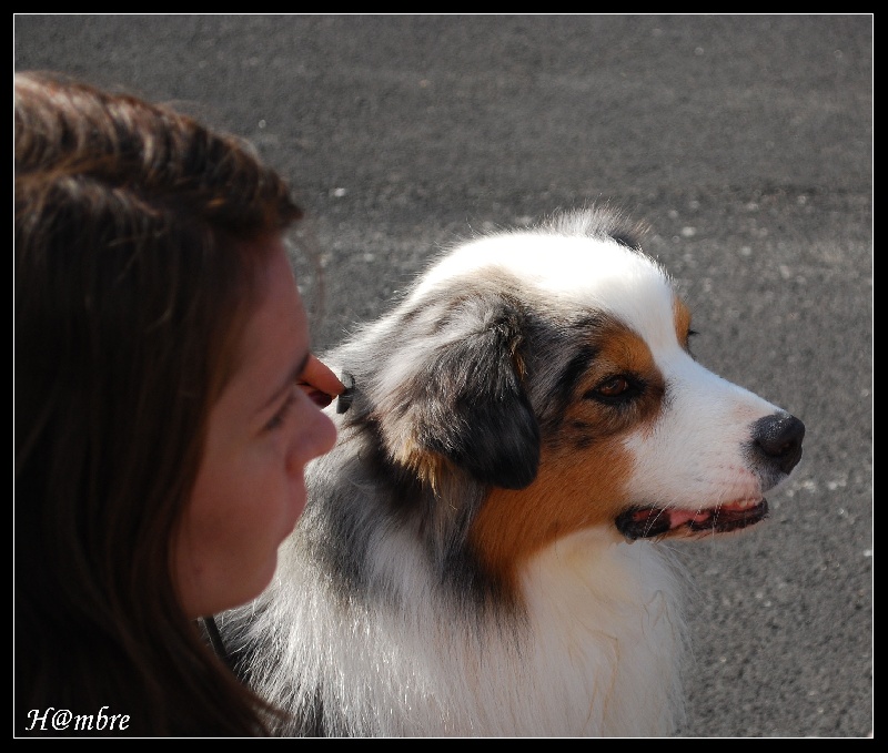 Publication : de L'Igloo des Sables