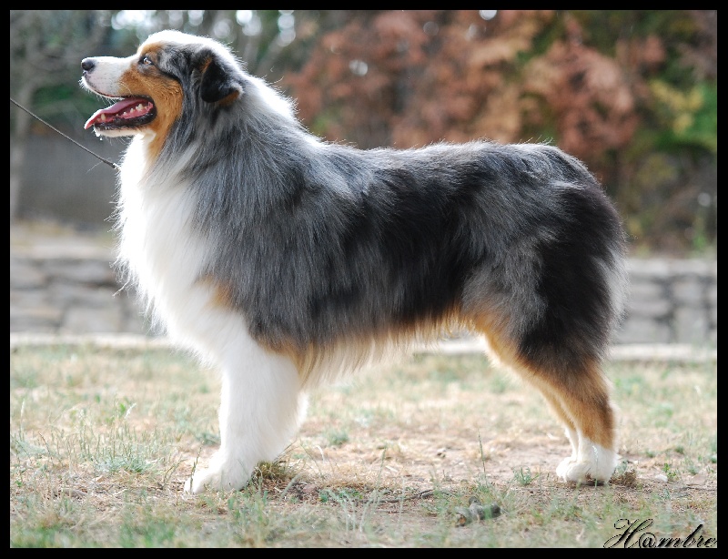 Publication : de L'Igloo des Sables