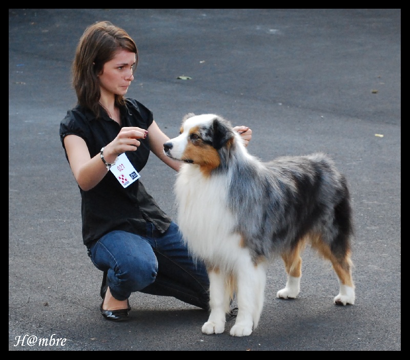 Publication : de L'Igloo des Sables