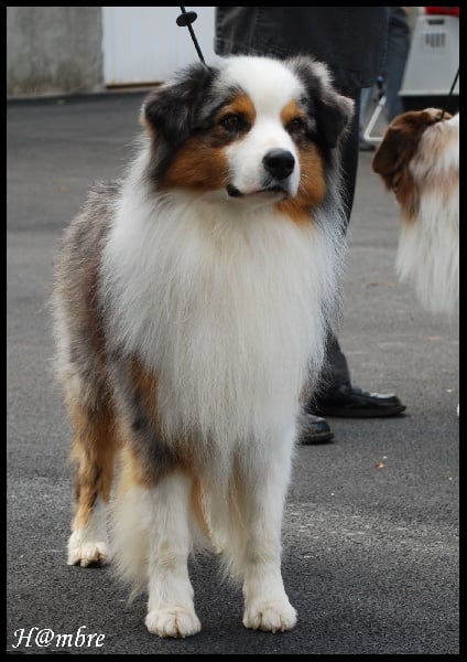 Publication : de L'Igloo des Sables