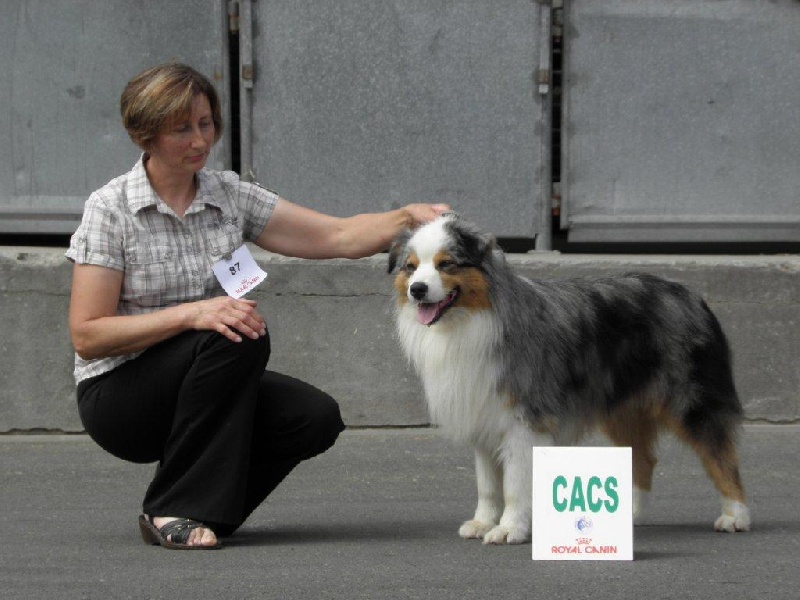 B'sitka de L'Igloo des Sables - 1exc ouverte mâle, CACS, meilleur de race, 2eme groupe 1