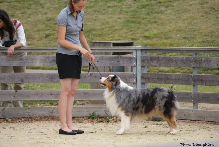 B'sitka de L'Igloo des Sables - 3ème Excellent en Ouverte mâle