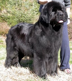 Publication : De la baie de pempoul