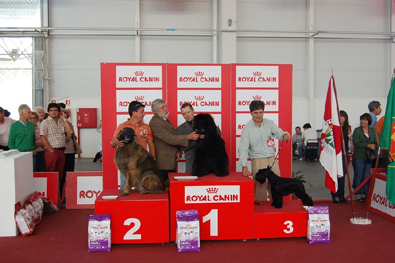 Publication : De la baie de pempoul