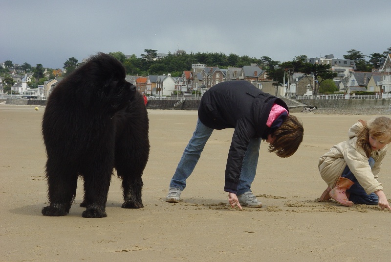 Publication : De la baie de pempoul
