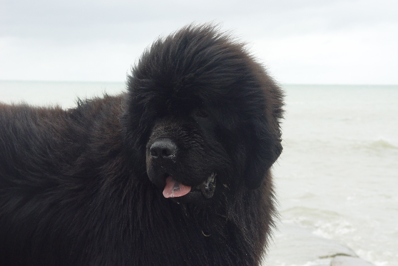 Publication : De la baie de pempoul