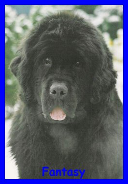 Publication : De la baie de pempoul