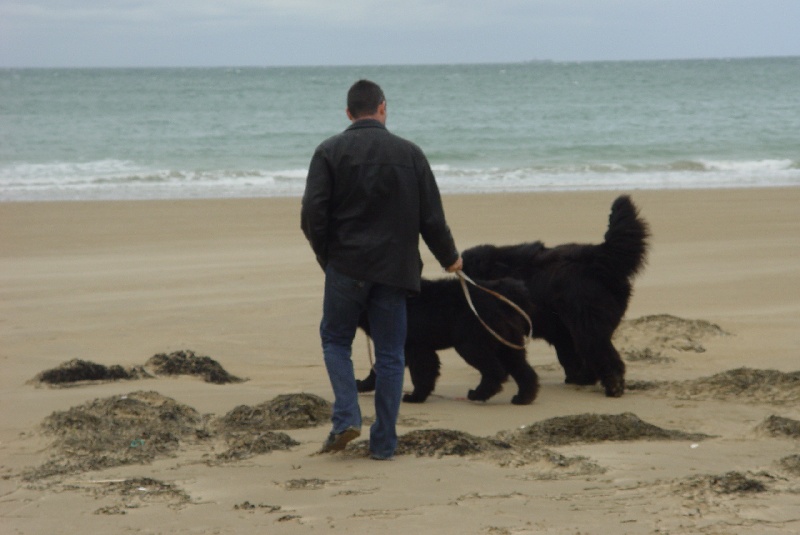 Publication : De la baie de pempoul
