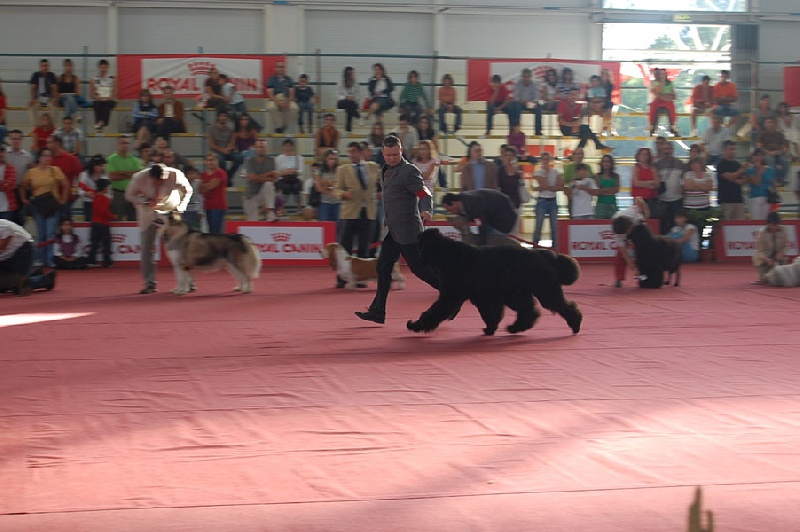 Publication : De la baie de pempoul