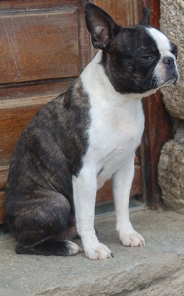 Publication : De la baie de pempoul