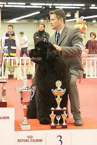 Publication : De la baie de pempoul