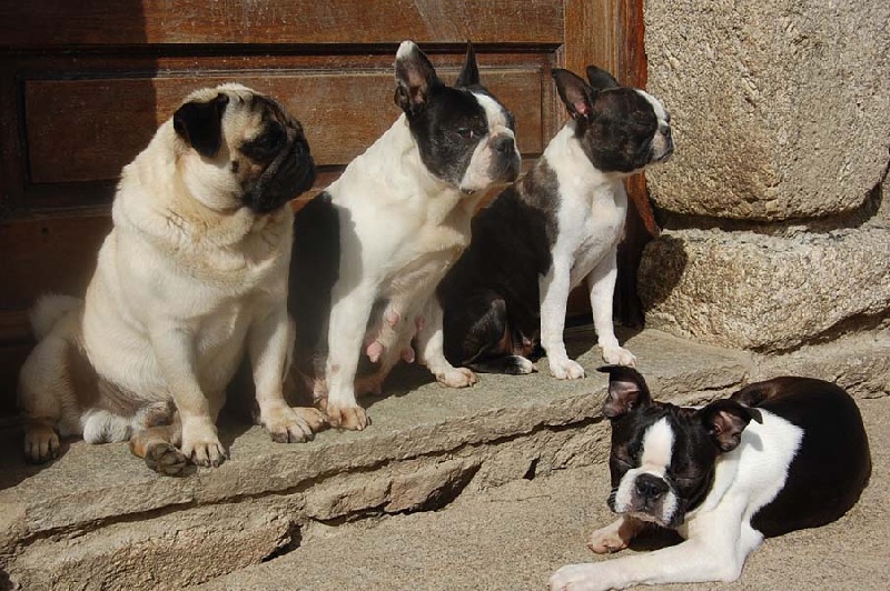 Publication : De la baie de pempoul