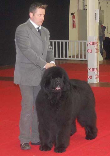 Publication : De la baie de pempoul