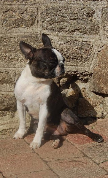 Publication : De la baie de pempoul