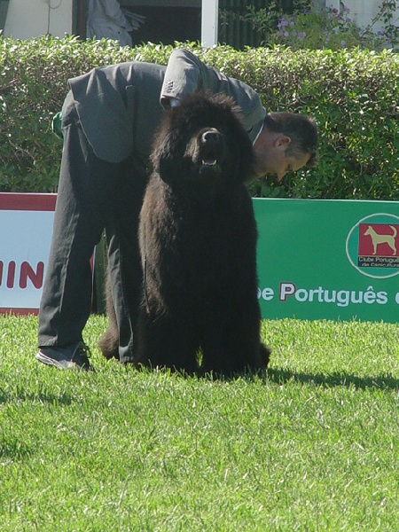 Publication : De la baie de pempoul