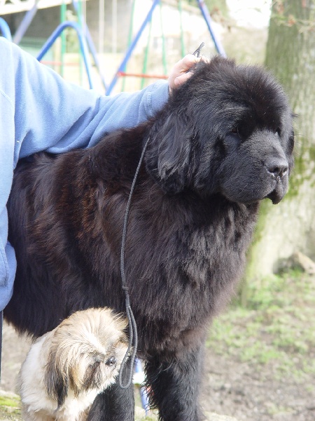 Shanna De la baie de pempoul